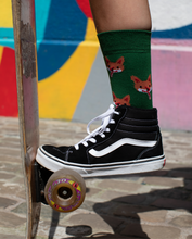 Charger l'image dans la galerie, Renards